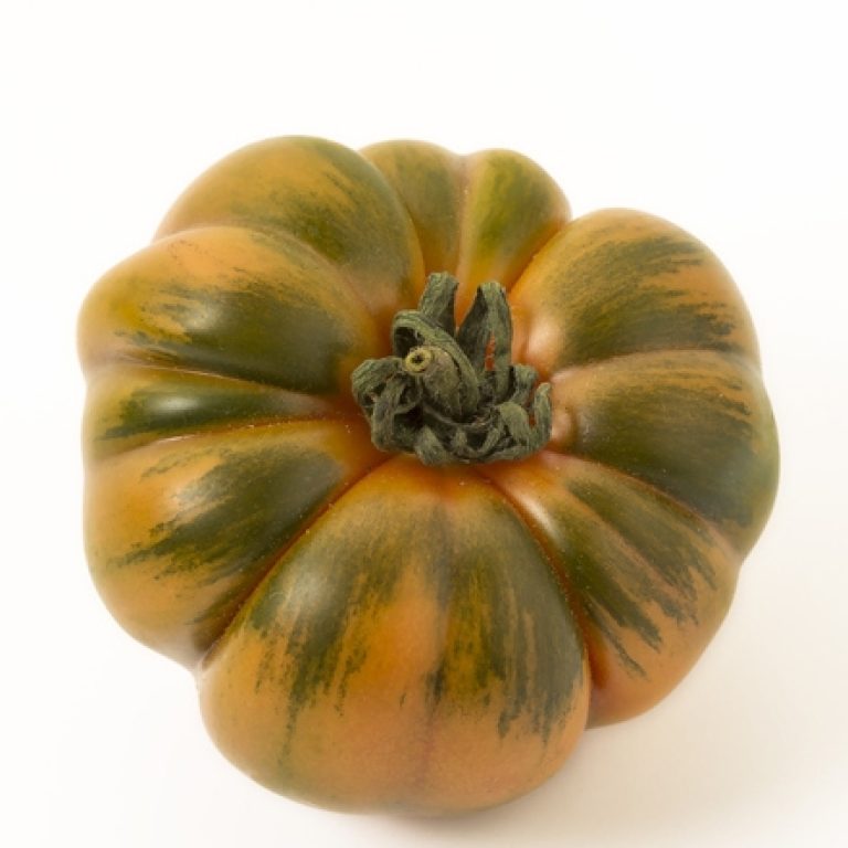 costoluto-gallery-3-680x441